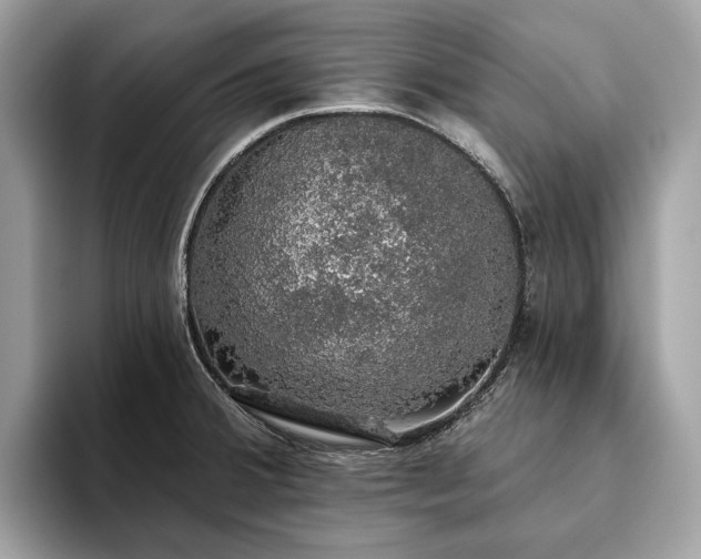 X0000093621380200710221538