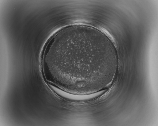 X0000093621384200710221538