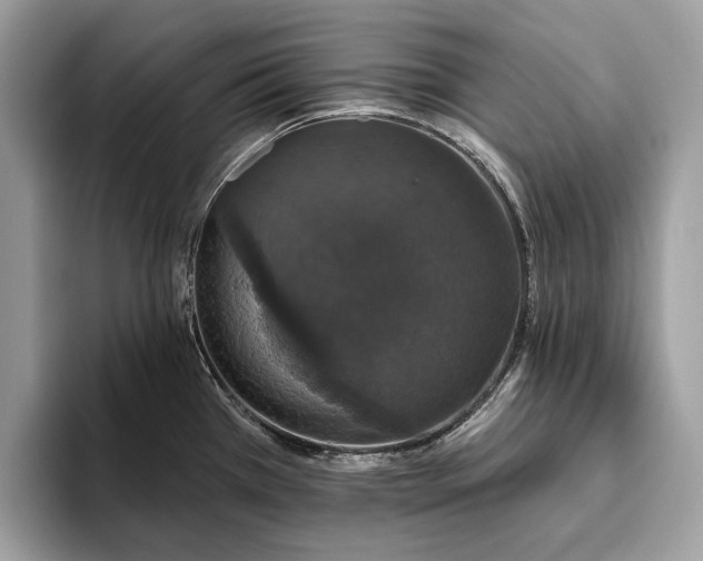 X0000093621385200710221538