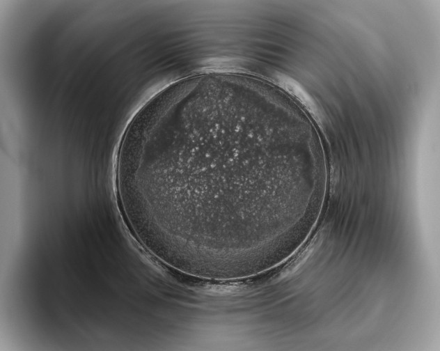 X0000093621386200710221538