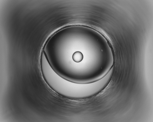 X0000093621388200710221538