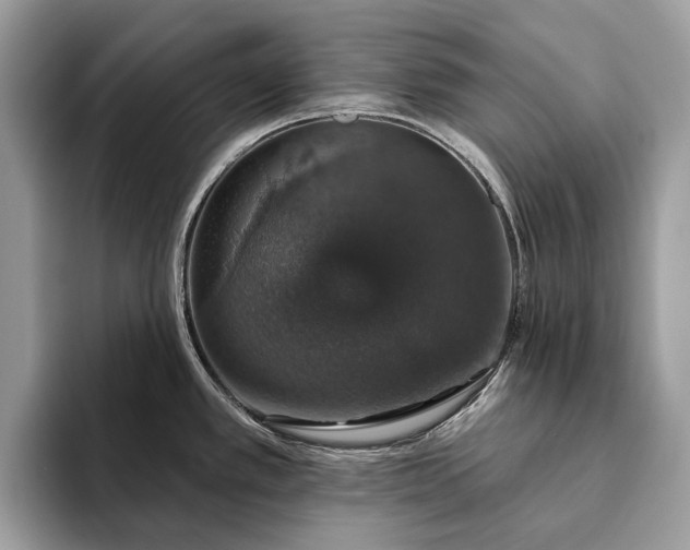 X0000093621389200710221538