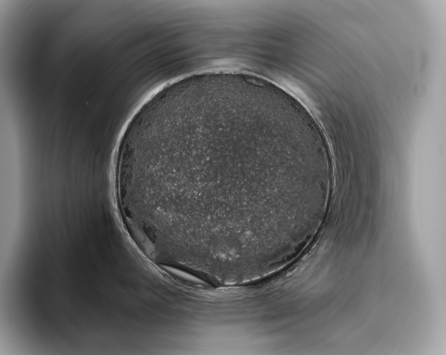 X0000093621392200710221538