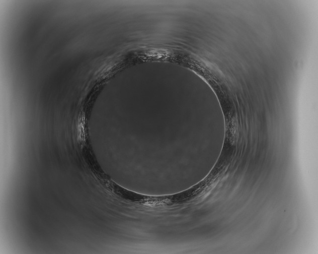 X0000093621394200710221537