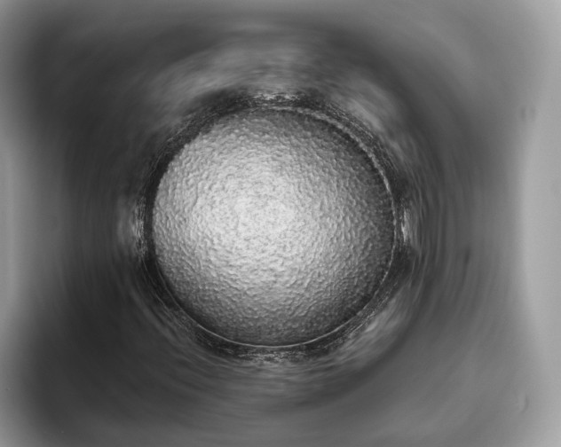 X0000093621396200710221537
