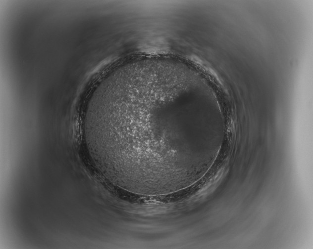 X0000093621398200710221537