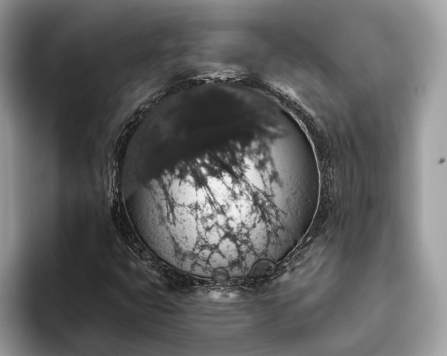 X0000093621399200710221537