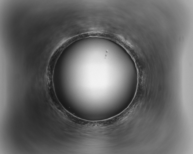 X0000093621400200710221537