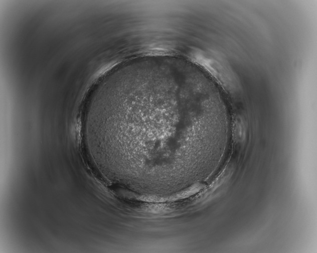 X0000093621402200710221537