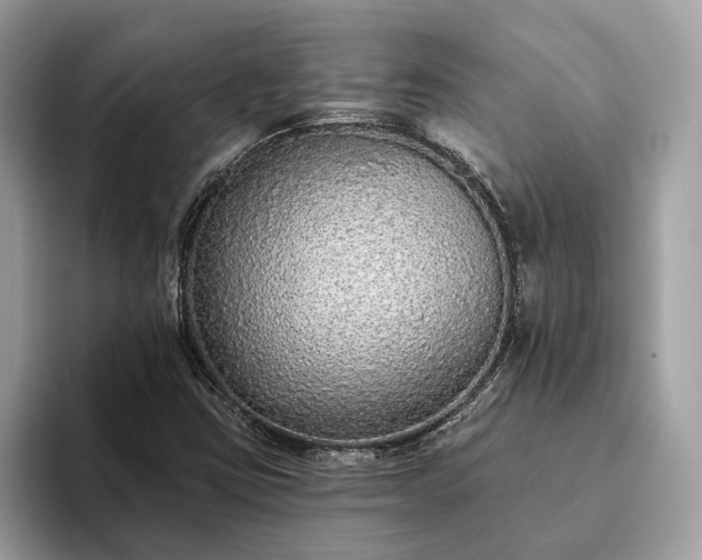 X0000093621403200710221538
