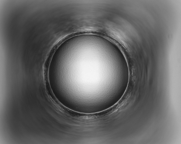 X0000093621404200710221538