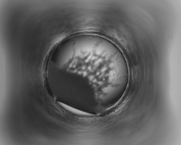 X0000093621405200710221538