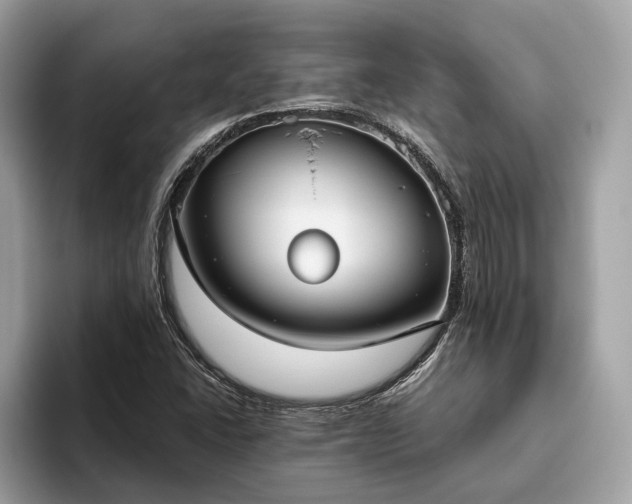 X0000093621406200710221538