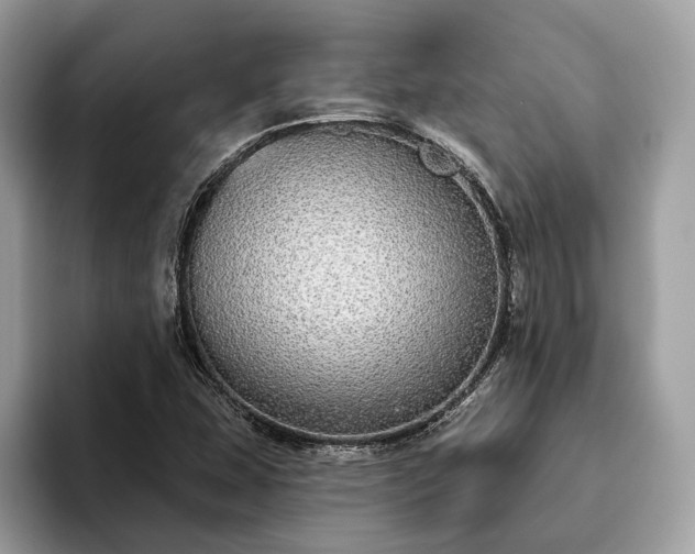X0000093621407200710221538