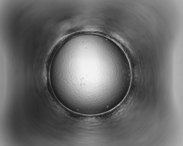 X0000093621408200710221538