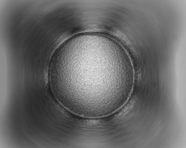 X0000093621409200710221538