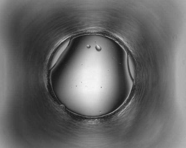 X0000093621410200710221538