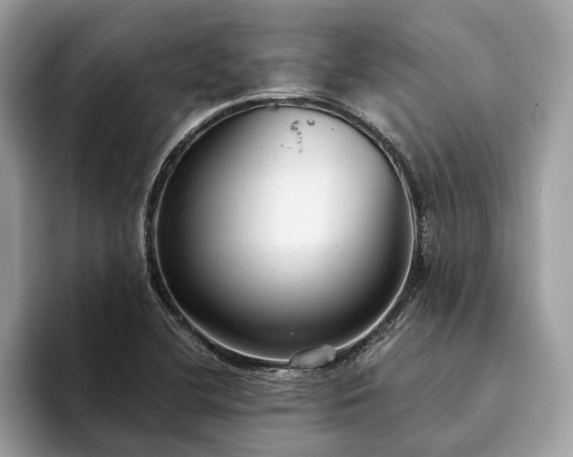 X0000093621412200710221538