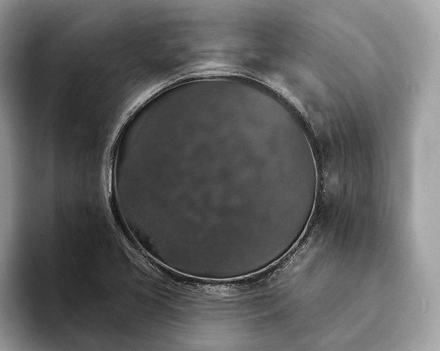 X0000093621413200710221538