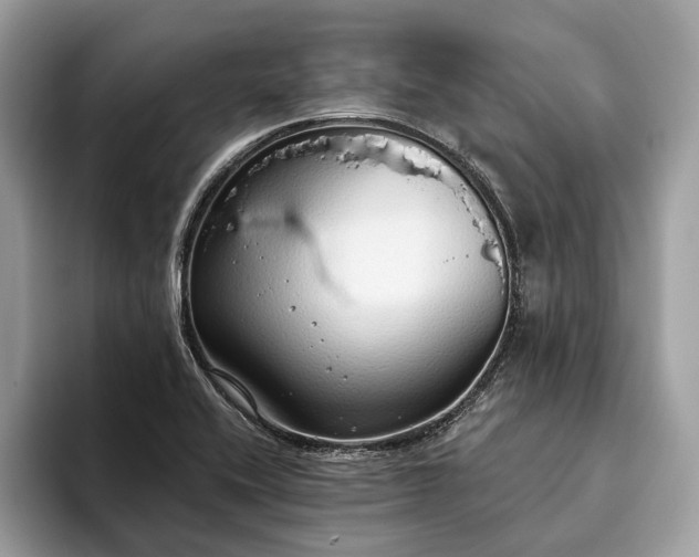 X0000093621416200710221538