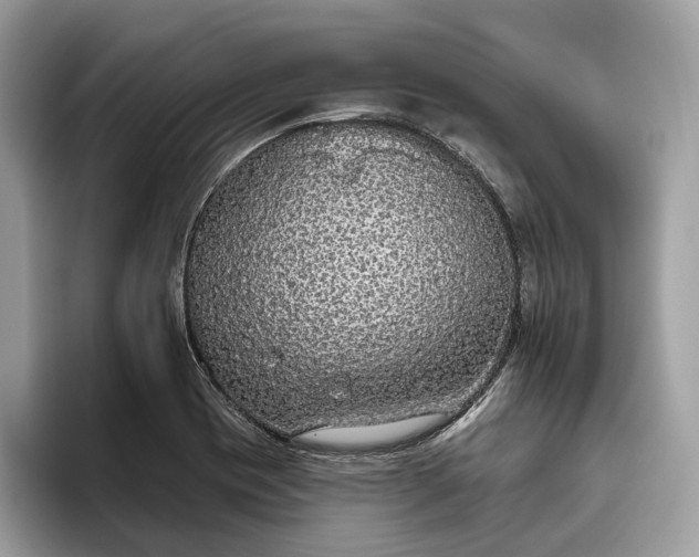 X0000093621417200710221538