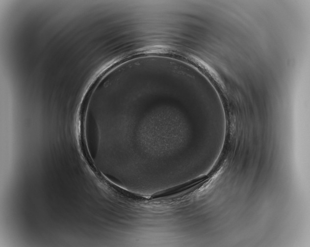 X0000093621418200710221538