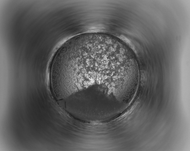 X0000093621419200710221538