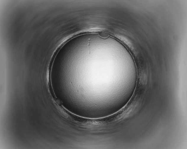 X0000093621420200710221538