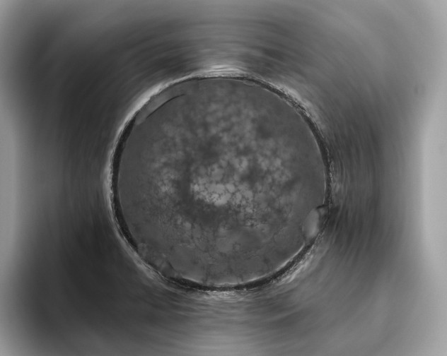X0000093621422200710221538