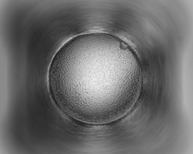 X0000093621423200710221538