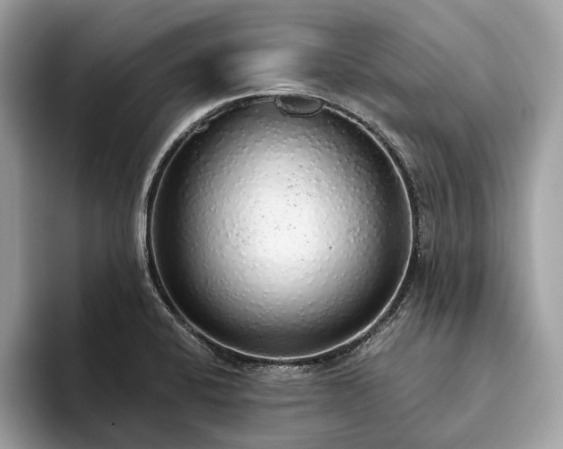 X0000093621424200710221538