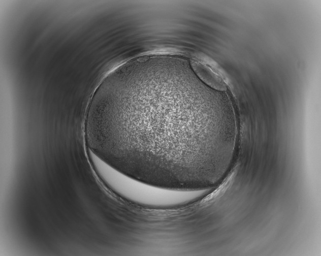 X0000093621425200710221538
