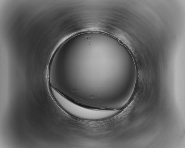 X0000093621428200710221538