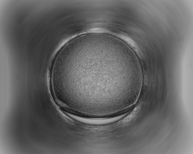 X0000093621430200710221538