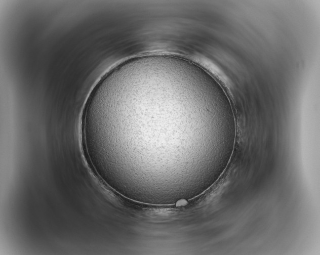 X0000093621431200710221538