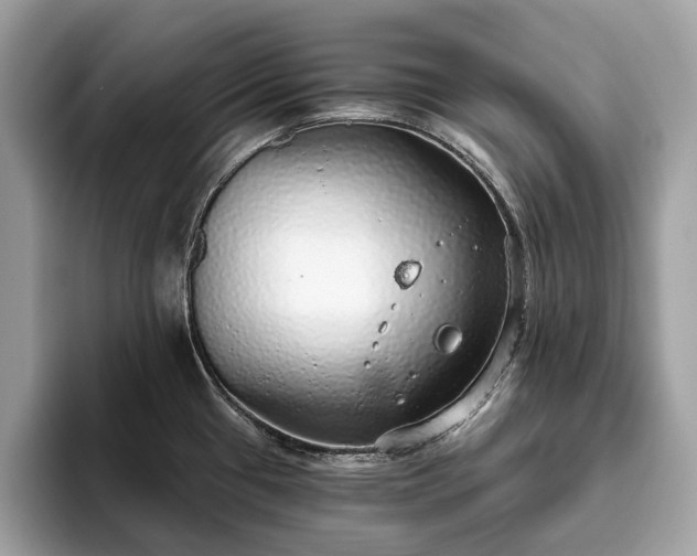 X0000093621433200710221538