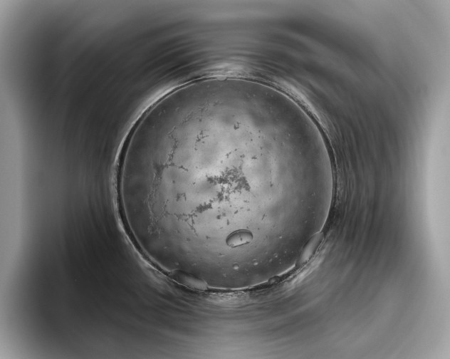 X0000093621434200710221538