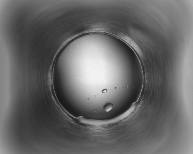 X0000093621436200710221538