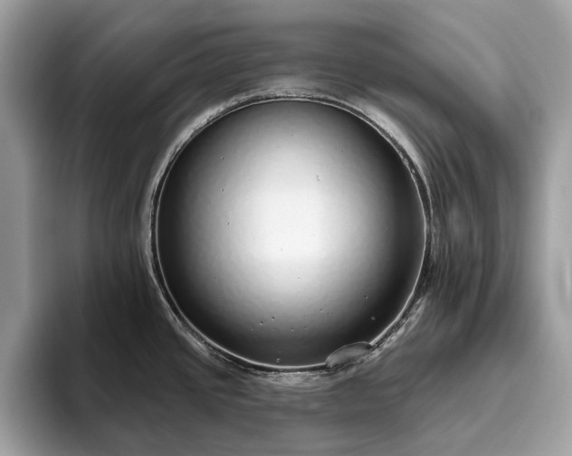 X0000093621437200710221538