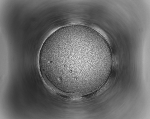 X0000093621439200710221538