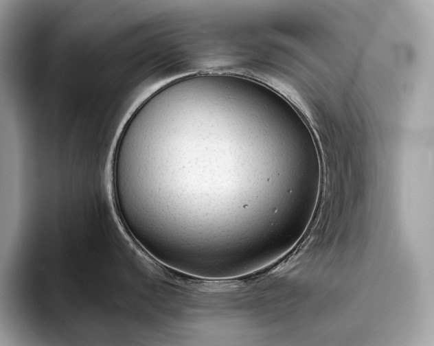 X0000093621440200710221538