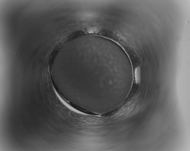 X0000093621443200710221537