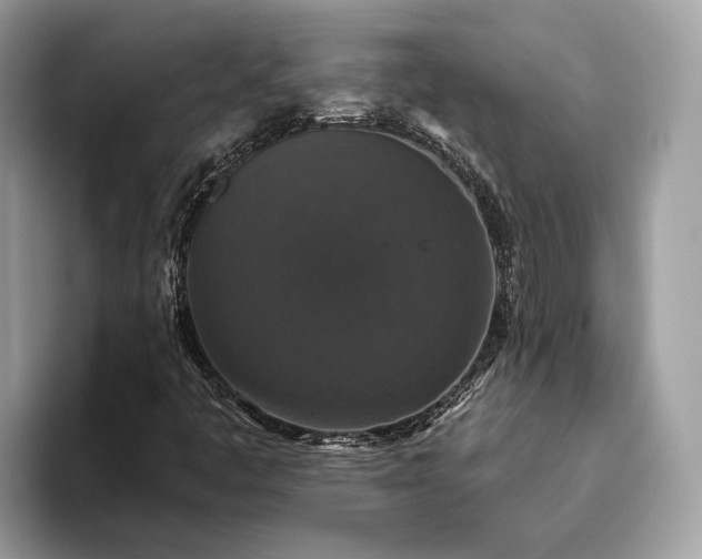 X0000093621445200710221537