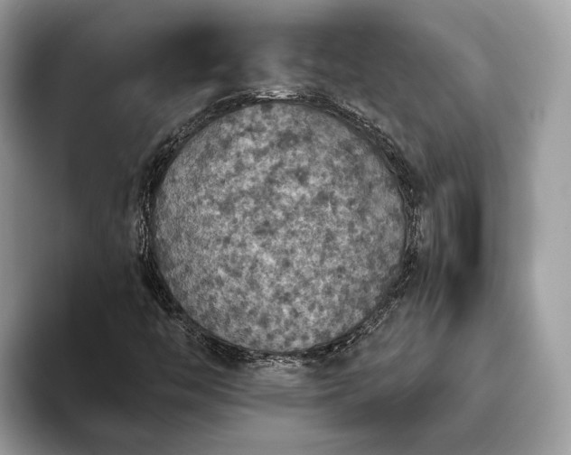 X0000093621446200710221537
