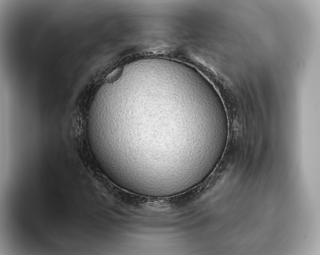 X0000093621447200710221537