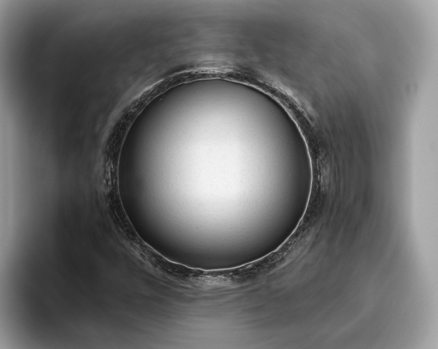 X0000093621448200710221537