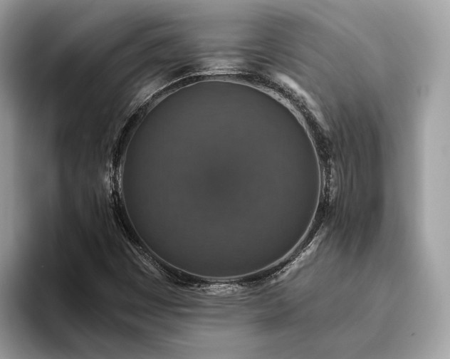 X0000093621449200710221537