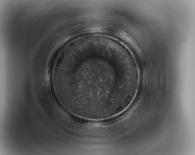 X0000093621450200710221537