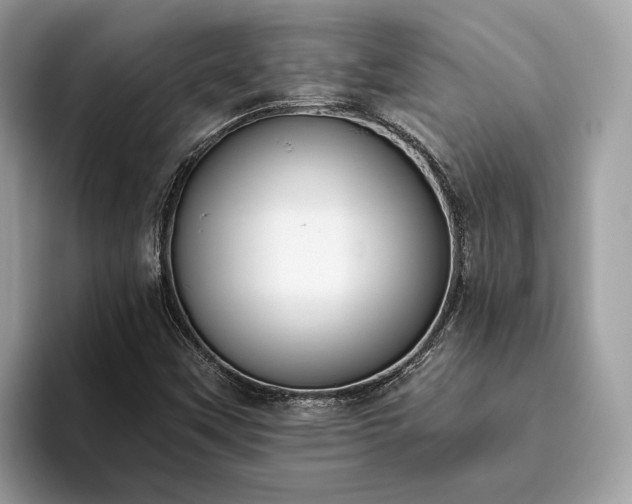 X0000093621451200710221537