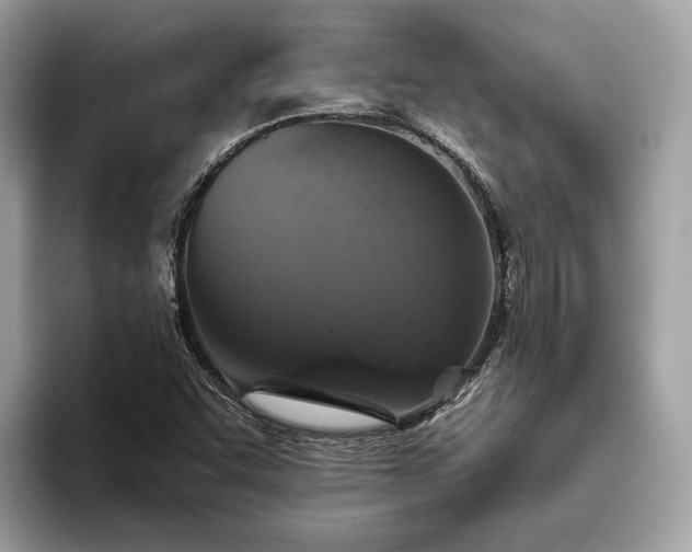 X0000093621455200710221537